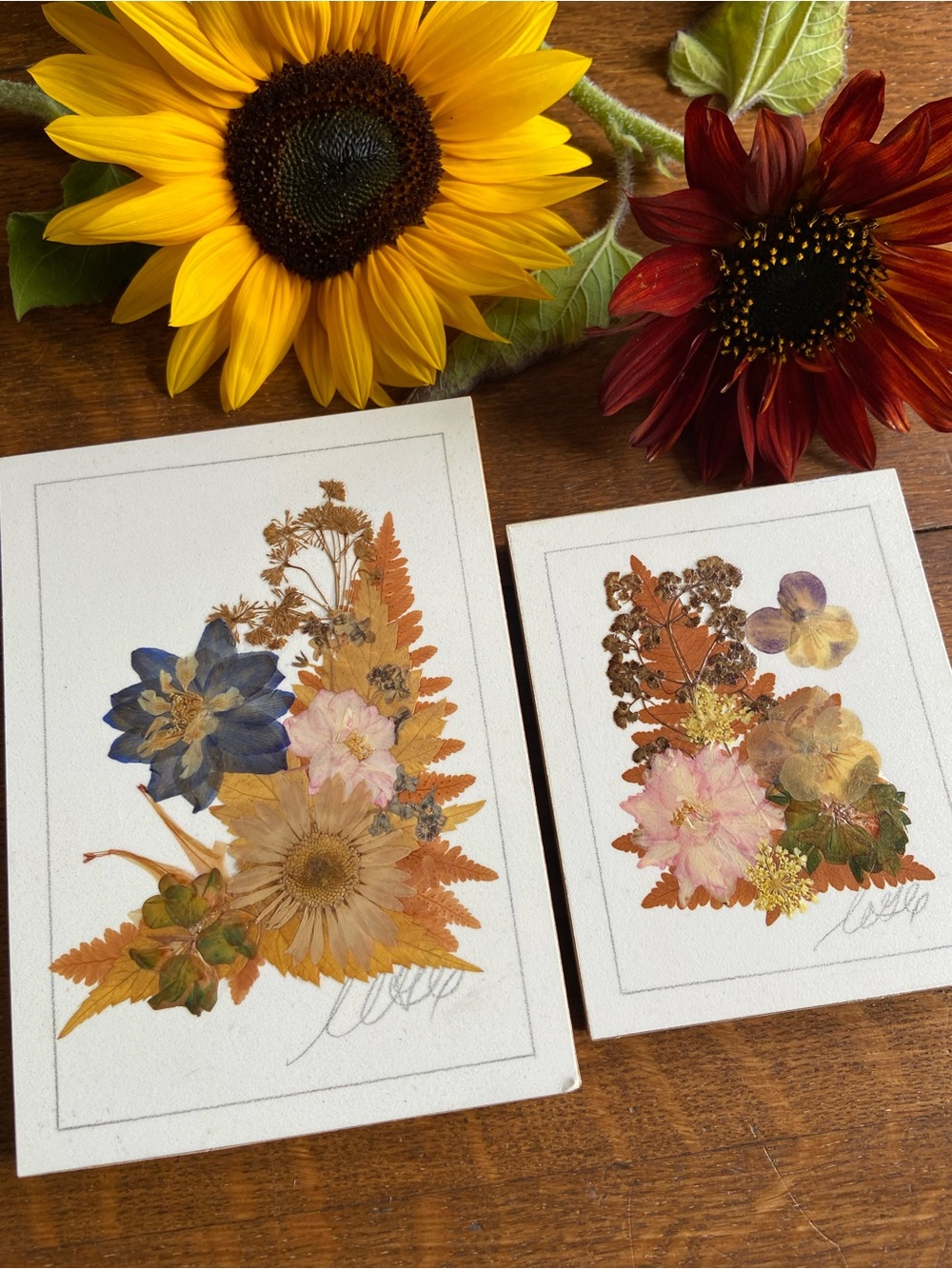 ✨🌸2 VTG 90s Rustic Cottagecore Pressed Flower Art Banff Souvenir Gift Fairy Wall